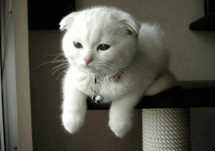 hey-good-lookin.gif