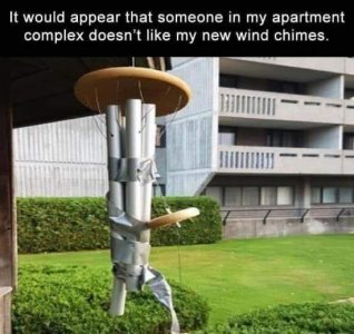 F77DF3D0-3E31-4485-B507-566235BF3C6D.jpeg