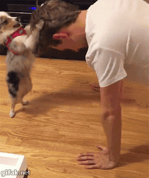 unnamed (1).gif unnamed (1).gif