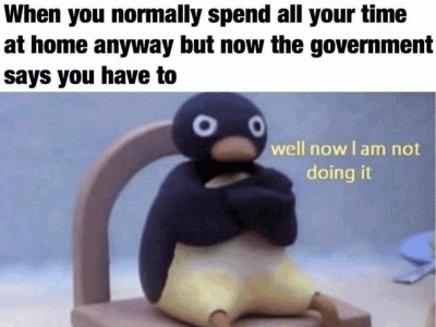 Penguin_1717866fefd_original-ratio.gif