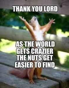 291c24342583ba5f992935a1f6c1d10b[1].jpg
