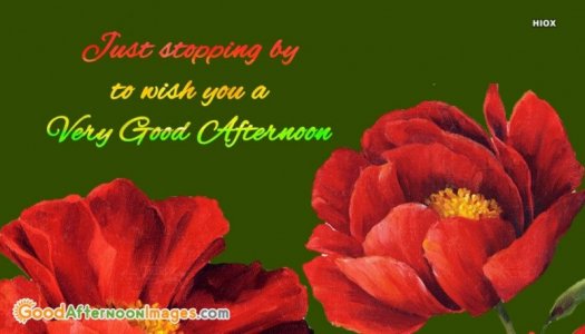 good-afternoon-wishes-with-quote-52650-297974.jpg