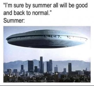 covid joke 99.jpg