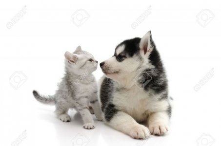 i love you 2.jpg