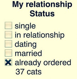 myrelationshipstatus.jpg