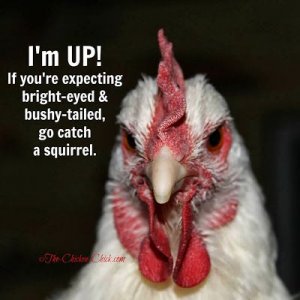 eb2291dbab8b89ded28720997757189b[1].jpg