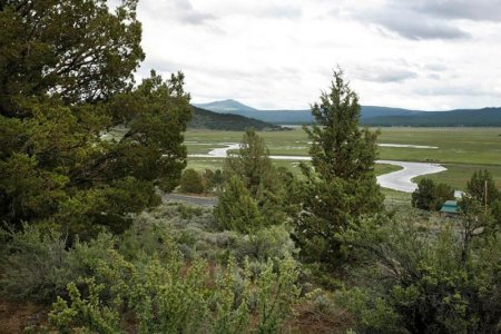sprague river land.jpg