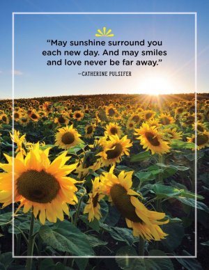 sunshinequotes27-1563300489.jpg