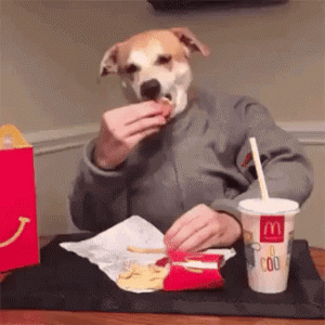 4024bed0f059e61d94f7d5018c70edcd.gif