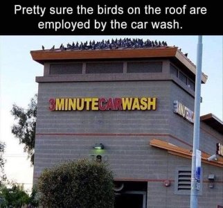 183329258_3945336588835721_4432853643215459246_n.jpg