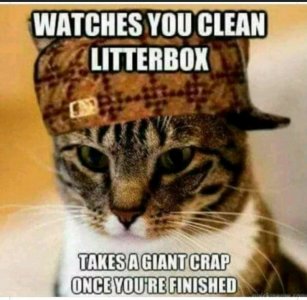 FB_IMG_16202878396288078.jpg