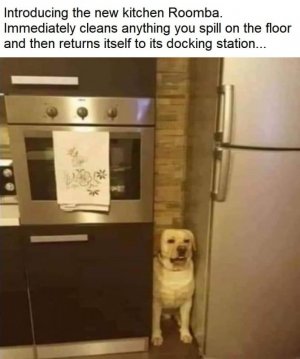 183132127_10159198143288349_3034983353843575921_n[1].jpg