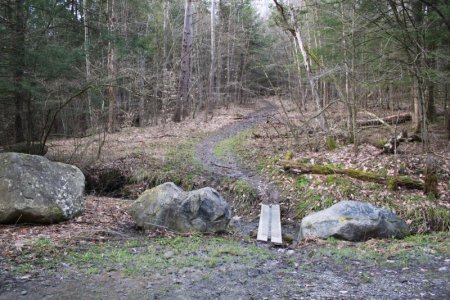 fingerlakes_trail.JPG