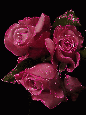 8e1f3de9a8f699a9b14a98a50013837f[1].gif