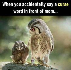 871192388a24dd73509157b96fa62f8f[1].jpg