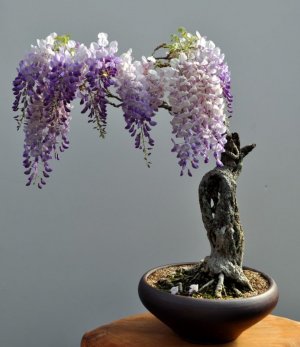 Tumblr_l_6022435066115.jpg
