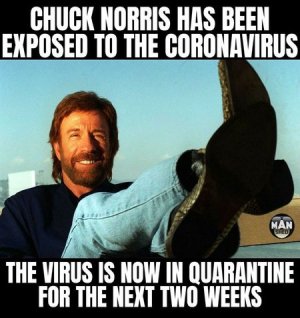 chucknorris.jpeg