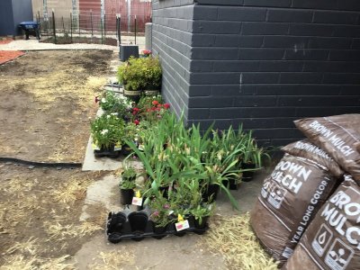 75CA2477-2A5D-4F17-A1F2-0CADE6FA9152.jpeg 75CA2477-2A5D-4F17-A1F2-0CADE6FA9152.jpeg