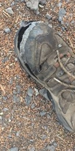 old shoes.jpg