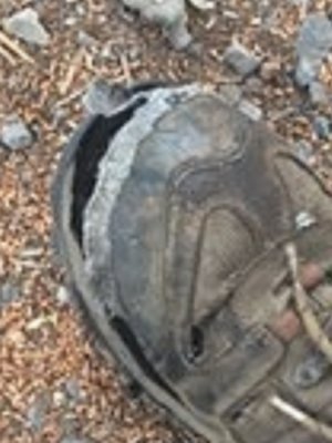 old shoe close up.jpg