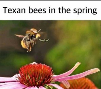 186504662_809728792992043_8874715009046112259_n[1].jpg