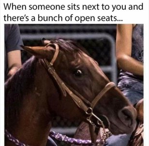 186534138_810856642879258_2552854527254952201_n[1].jpg
