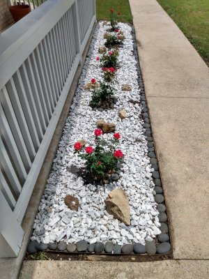 IMG_20210515_133502016_HDR.jpg IMG_20210515_133502016_HDR.jpg