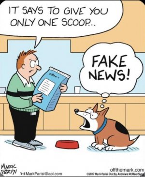 fakenews.jpg