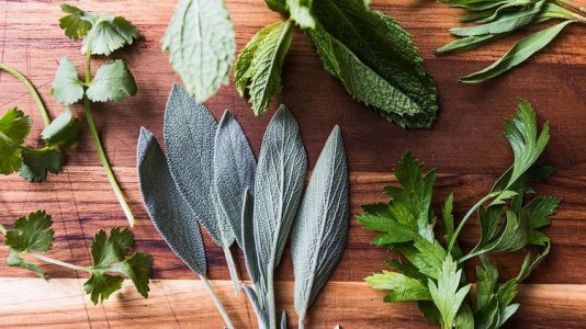 Feature-Blueprint-Pesto-Herbs-Recipes-Cilantro-Mint-Sage[1].jpg
