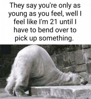 FB_IMG_16205506054527695.jpg