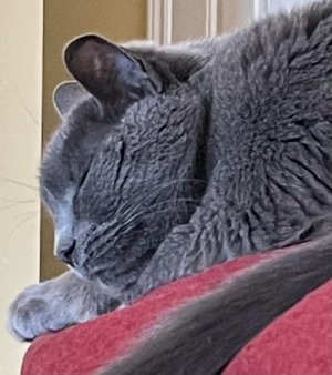 8F8F1223-4025-42F8-BF07-C848A3F6BFAA.jpeg