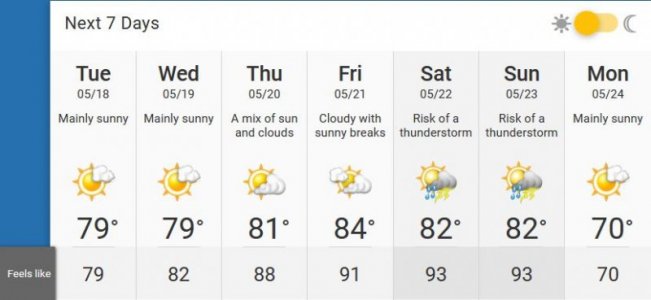 T.O. weather.JPG