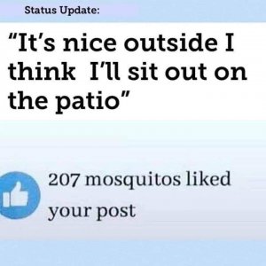 FB_IMG_1621247229225.jpg