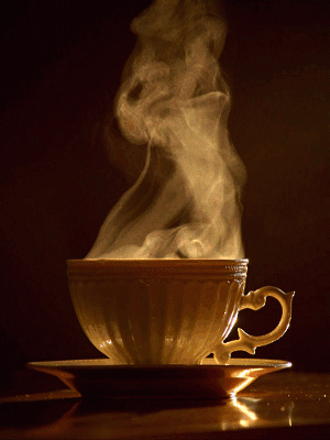 1621339511597.gif