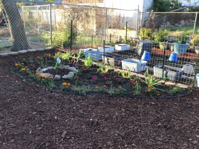 4790E932-AFE2-4212-846B-BC1050193B3B.jpeg 4790E932-AFE2-4212-846B-BC1050193B3B.jpeg