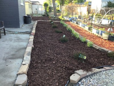 923974AE-1486-4B0F-B542-0BFF409C7DA0.jpeg 923974AE-1486-4B0F-B542-0BFF409C7DA0.jpeg