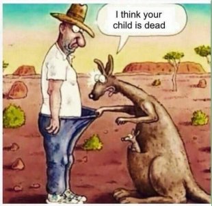 Aussie+humour_98b256_6346989.jpg