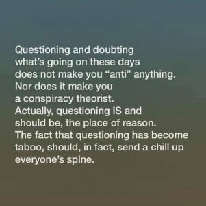 covid questioning meme.jpg