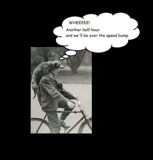 caption 2 sf FIN 4.jpg