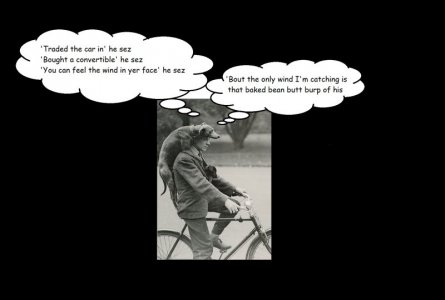 caption 2 sf fin 5.jpg