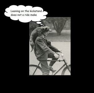 caption 2 sf fin 3.jpg