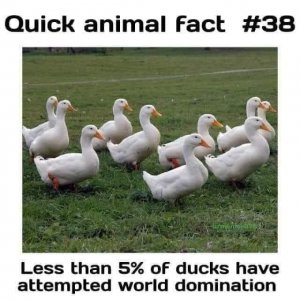 D0E468E2-8511-4E68-A3B8-BBF72E4BC631.jpeg