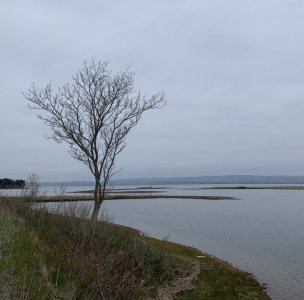 9DEC1E02-8C1C-450F-9E38-3159E30C14C9.jpeg