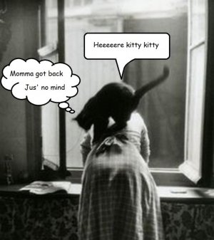 caption kitty.jpg