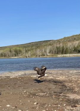 51C337B9-D91D-4E0B-8EC0-416669DF0AA3.jpeg