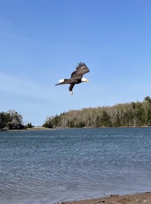 35DA5414-492D-4156-B739-6E2660C0C260.jpeg
