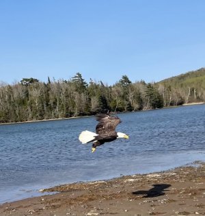 D3B4C79B-1B9E-4DBA-82B8-3F20652F783C.jpeg