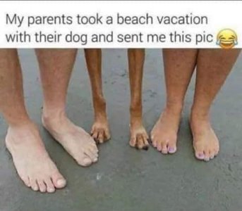 188656712_3726684150790726_906504349581635445_n.jpg