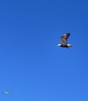 4EA03CDF-7765-4EC6-9512-6D03124C603B.jpeg
