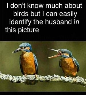 fa40f6dff98ce47a6bfe5124dc815524[1].jpg